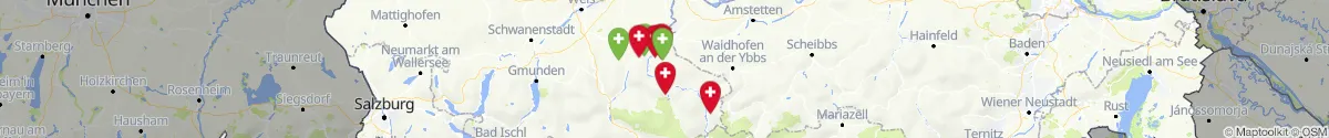 Kartenansicht für Apotheken-Notdienste in der Nähe von Steyr  (Land) (Oberösterreich)